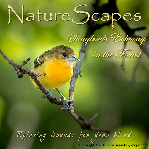 Songbirds Echoing in the Forest - Sounds by Knight